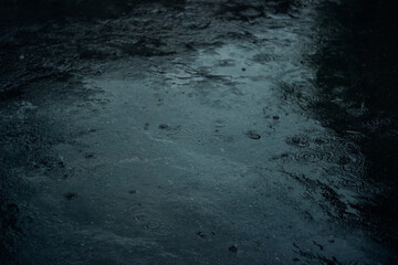rainy day, raindrops on the asphalt