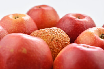 Rotten and spoiled red apples on white background. Unhealthy fruits.