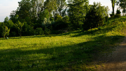 
Landscapes and views in the Botanical Garden in Radzionków. Ready for entry.