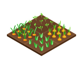 Garden Bed or Cultivation Bed with Growing Vegetables Vector Isometric Illustration