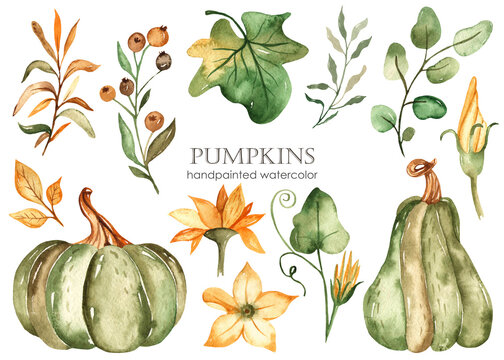 Watercolor set with green pumpkins, leaves, flowers, branches, berries.
