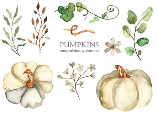Watercolor set with white pumpkins, leaves, flowers.