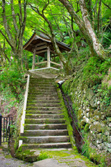 大威徳寺　夏の牛滝山