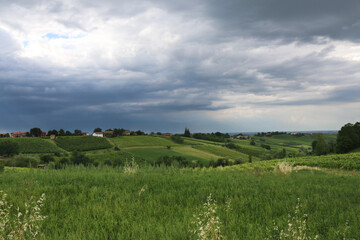 Fototapeta na wymiar Colline coltivate a vigneti e campi di grano sotto un cielo minaccioso e temporalesco di una calda giornata d’estate