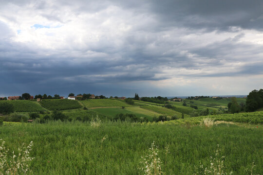 Colline coltivate a vigneti e campi di grano sotto un cielo minaccioso e temporalesco di una calda giornata d&rsquo;estate