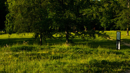 
Landscapes and views in the Botanical Garden in Radzionków. Ready for entry.