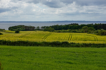 Ebeltoft, Denmark Fields and forest lokking out towards Aarhus.