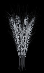 Metall spikelet. 3d render. On a black background.