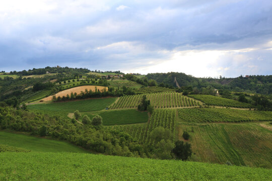 Colline coltivate a vigneti e campi di grano sotto un cielo minaccioso e temporalesco di una calda giornata d&rsquo;estate