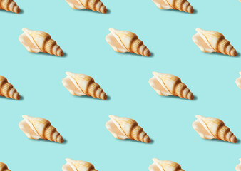 Seamless colorful pattern of shells on pastel blue color background. From top view. Conceptual trendy style. Minimal background