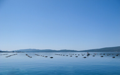 Mussel and oyster farm in Montenegro. Kotor Bay