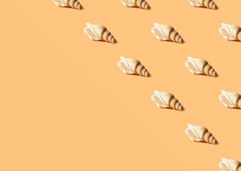 Seamless colorful pattern of shells on pastel orange color background with copy space. From top view. Conceptual trendy style. Minimal background