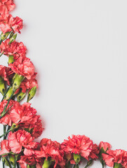 spring flowers border