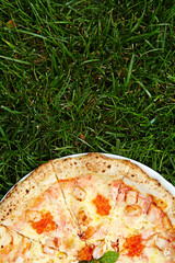 fresh pizza with different ingredients on green grass