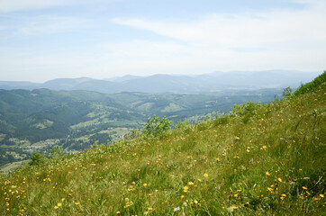 Wonderful valley in the mountains