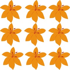 Fototapeta na wymiar orange flower 