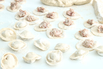 Homemade Cooking chinese Ravioli or dumplings