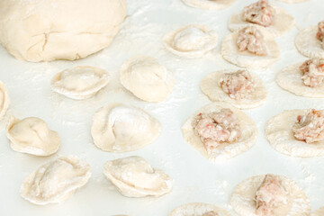 Homemade Cooking chinese Ravioli or dumplings