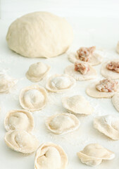 Fototapeta na wymiar Homemade Cooking chinese Ravioli or dumplings