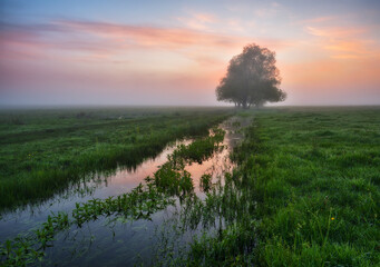 Morning fog on the river