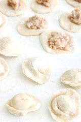 Homemade Cooking chinese Ravioli or dumplings