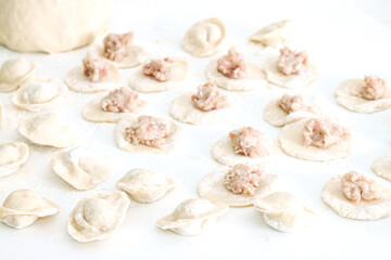 Homemade Cooking chinese Ravioli or dumplings