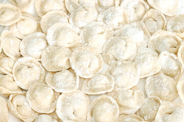 Fototapeta na wymiar Homemade Cooking chinese Ravioli or dumplings