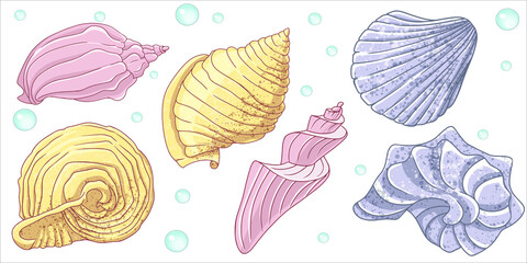 Seashells collection. Vector cartoon Illustration