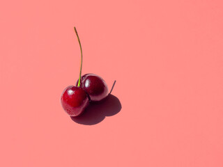 double cherry on pink bright background, close up.
copy space, template