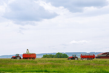 Fototapeta na wymiar The harvester collects freshly cut grass into a tractor trailer.