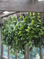 Saving summer.Medicinal herbal background.Bunches of mint and Melissa plants are dried under a canopy.
