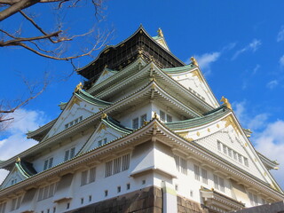 osaka castle upview, japan