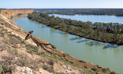 River Murray landscape, looking down across the river and backwaters, river cliffs on a bright sunny winter day, South Australia. © Steven
