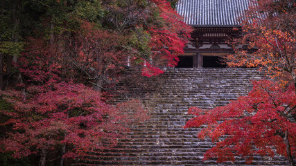 京都府 高雄山 神護寺 紅葉