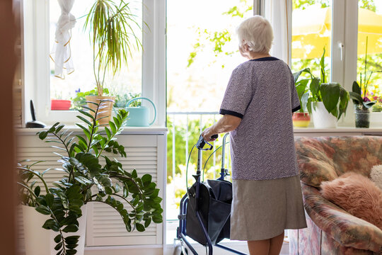 Rear View Of A Senior Woman With Walking Frame At Home
