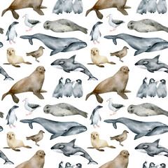 Obraz premium Watercolor seamless pattern with Antarctic animals. Penguin, seal, whale, bird. Wild north animals. Marine mammal for baby textile, wallpaper, nursery decoration. Antarctic series.