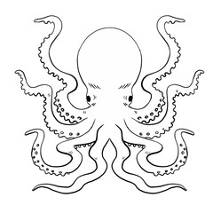 Octopus