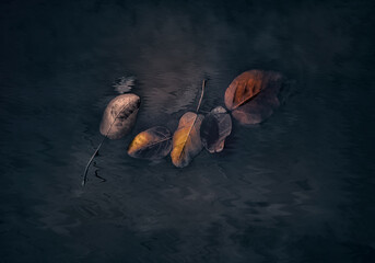 Colorful leaves gracefully fallen on water