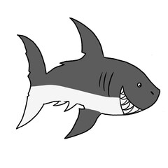 Shark
