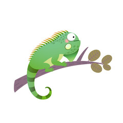 Vector illustration of a cartoon green iguana on a branch.