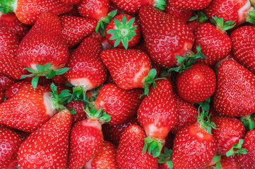 many red ripe strawberries with green stalks - background