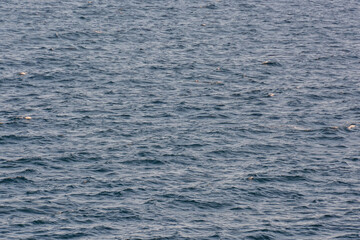 Detailed Texture Of Sea Water , digitally created photo image