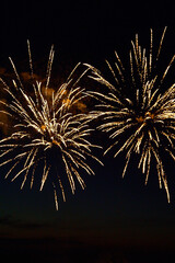 Colorful festive fireworks on a black sky background.