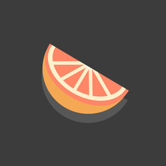 Citrus fruit icon, vitamin C