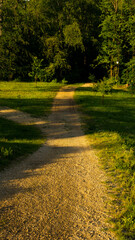 
Landscapes and views in the Botanical Garden in Radzionków. Ready for entry.