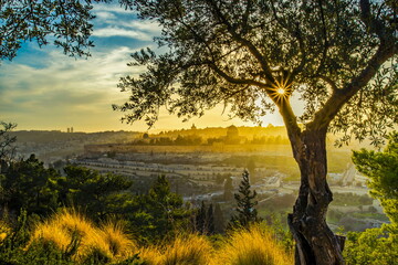 Beautiful sunlit view of Jerusalem's Old City landmarks: Temple Mount with Dome of the Rock, Golden...