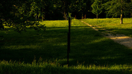 
Landscapes and views in the Botanical Garden in Radzionków. Ready for entry.