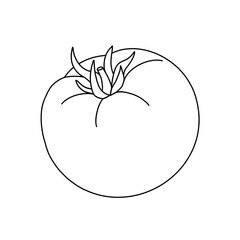 Outline cartoon tomato isolated on white background. Black and white template for food coloring book. Line art illustration. Vegetable, vegan and vegetarian food. Single element, icon for design.