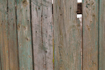 Green wooden boards or fence texture background or backdrop with old paint