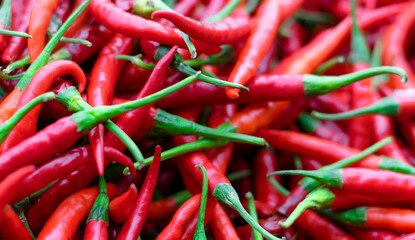 Red chillies hottest ingredients of kitchen of India